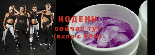 дживик Гусь-Хрустальный