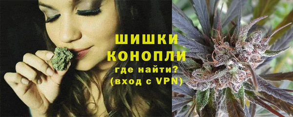 дживик Гусь-Хрустальный